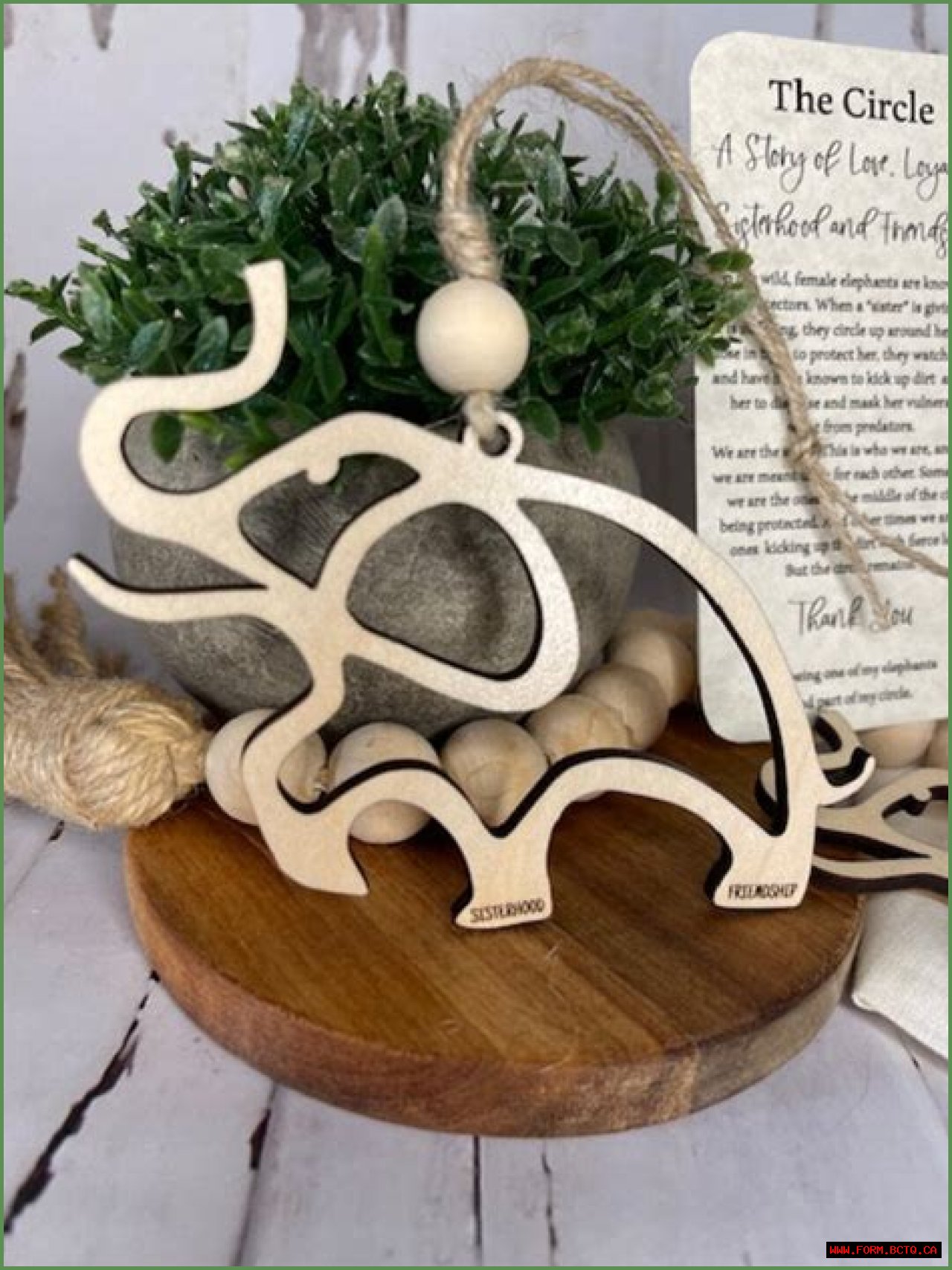 A Journey Of Love, Loyalty, And Inspiration